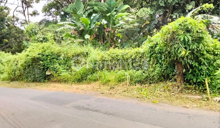 Selling Very Large Land with Water Source in Malon, Gunung Pati, Semarang 1