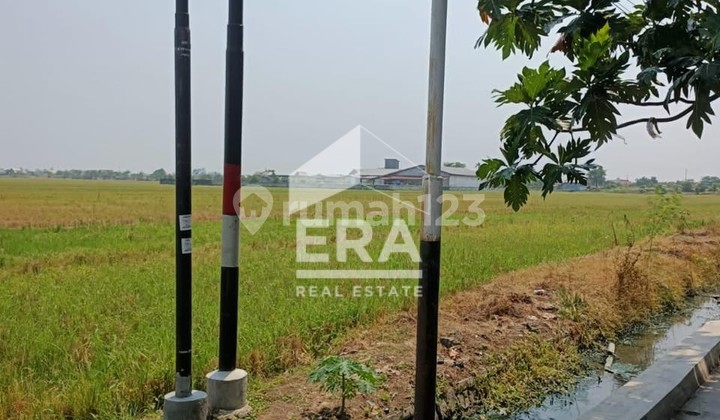 Jual Tanah Sawah Pinggir Jalan Harga Dibawah NJOP di Malang Barat Ketapang Kendal Jual Tanah Sawah Pinggir Jalan Harga Dibawah NJOP di Malang Barat Ketapang Kendal
