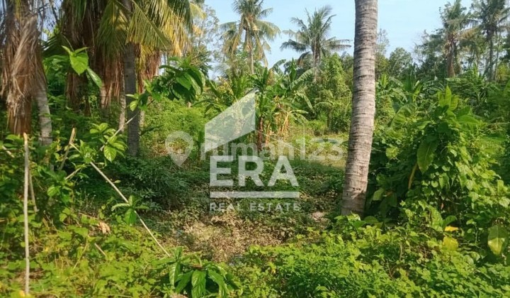 Tanah Global Cocok Untuk Perumahan di Singaraja Bali 1