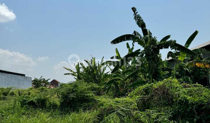 Tanah SHM 1,2 Ha Siap Bangun Dekat Lingkar Utara Slamet Riyadi Tanah SHM 1,2 Ha Siap Bangun Dekat Lingkar Utara Slamet Riyadi
