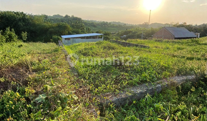 Jual Tanah Cocok untuk Gudang Harga Dibawah NJOP di Wonosari Ngaliyan Semarang 1