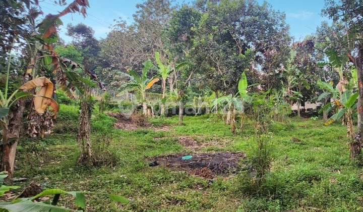 Tanah Ngantong Luas Dekat Taman Mijen di Amarta semarang 1