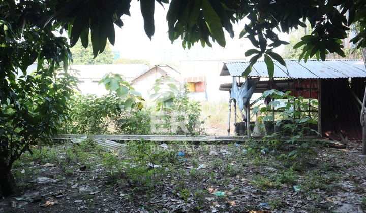 Tanah Bonus Gudang dan Rumah Cocok Untuk Usaha di Kedungmundu 2