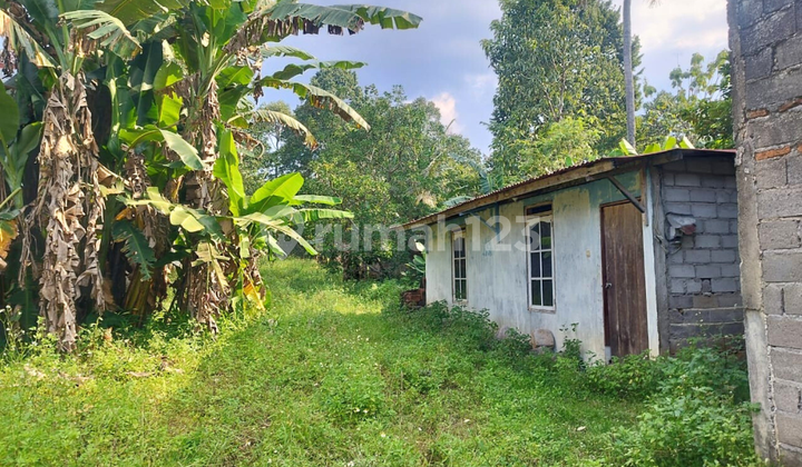 Jual Tanah Cocok untuk Cluster Kecil di Limbangan Boja Semarang 1