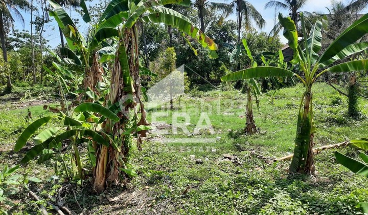Tanah Global Cocok Untuk Perumahan di Singaraja Bali 2
