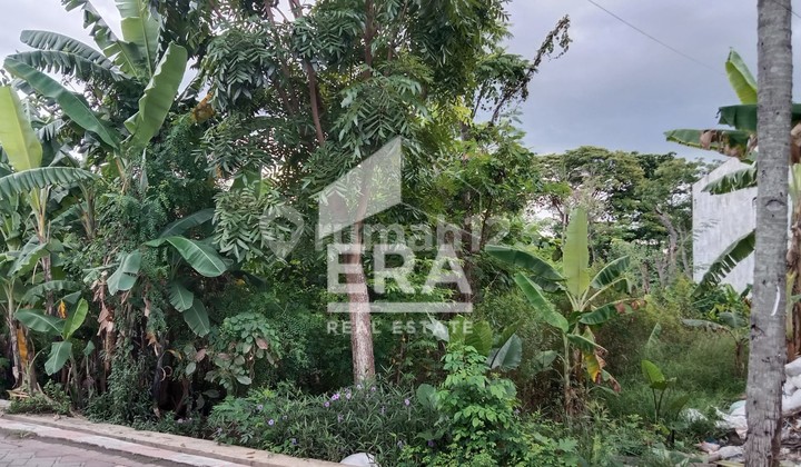 Tanah Kavling Area Permukiman di Purwomukti Semarang 12 Menit dari Tol Gayamsari 2