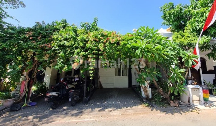 Rumah Bagus 2 Lantai Siap Huni Dekat Unimus di Kp Semawis Kedungmundu 1