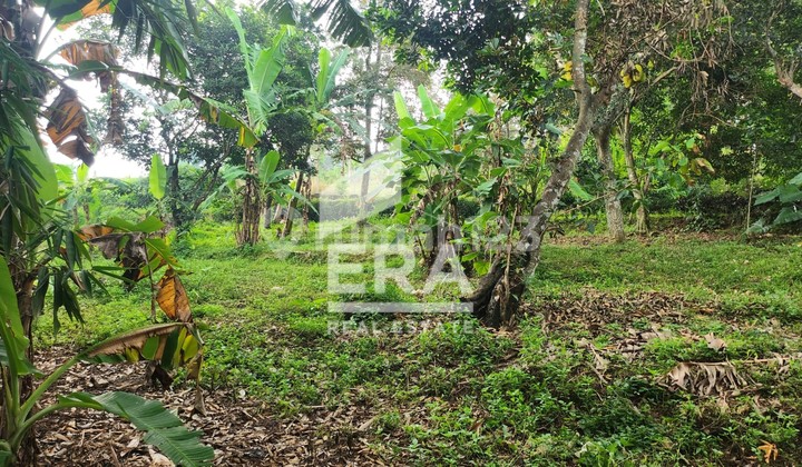 Tanah Ngantong Luas Dekat Taman Mijen di Amarta semarang 2