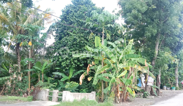 Jual Tanah Posisi Hook Cocok untuk Segala Usaha di Taman Tlogomulyo Pedurungan Semarang 1