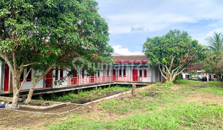 The land in Ngantong is suitable for industry and has buildings along the Semarang-Yogyakarta-Magelang Road.