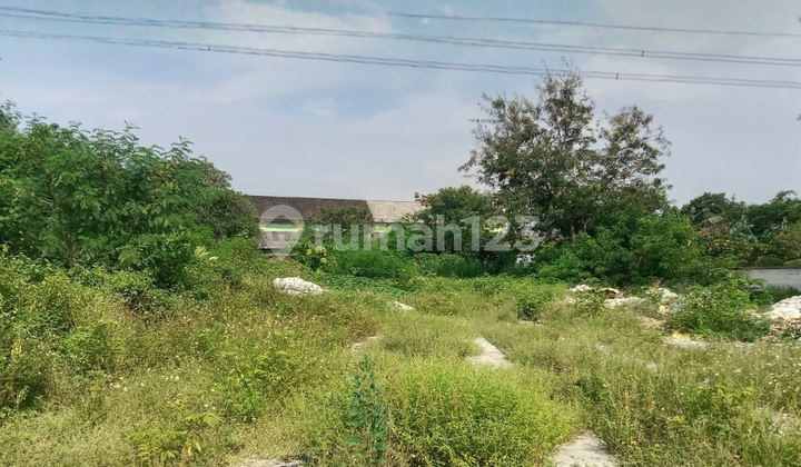 Tanah Cocok Untuk Gudang 18 Menit Dari Exit Tol Gayamsari di Penggaron Kidul 1