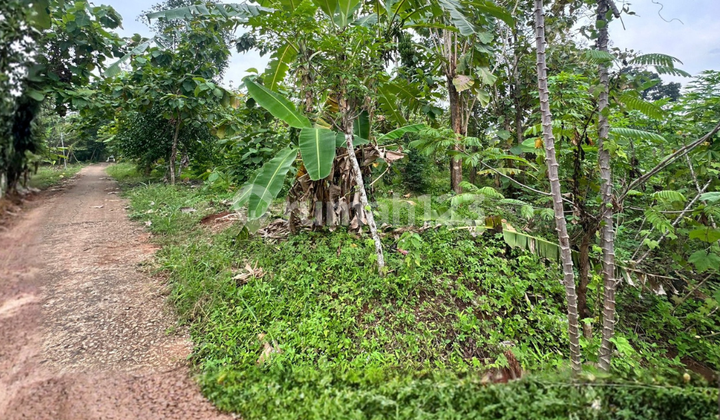 46 Hectares of Land Priced at 600 Million Negotiable Near KITB in Gringsing Batang 46 Hectares of Land Priced at 600 Million Negotiable Near KITB in Gringsing Batang