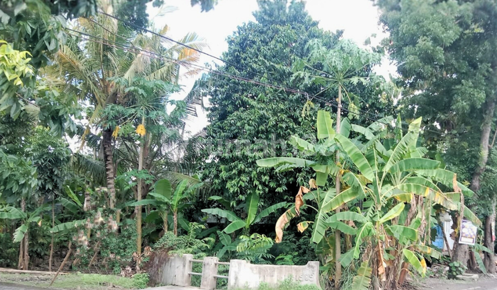 Tanah Ngantong Cocok Untuk Perumahan Hanya 15 Menit ke Exit Tol Gayamsari di Taman Tlogomulyo 1