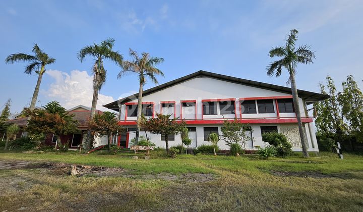 Gudang Ada Kantor Luas di Area Industri Sayung Gudang Ada Kantor Luas di Area Industri Sayung