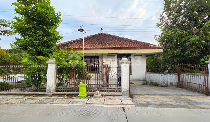 Rumah Cocok Untuk Kost Ada 14 Kamar di Cempaka Purwodadi Rumah Cocok Untuk Kost Ada 14 Kamar di Cempaka Purwodadi