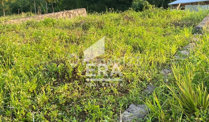 Jual Tanah Cocok untuk Gudang Harga Dibawah NJOP di Wonosari Ngaliyan Semarang 2