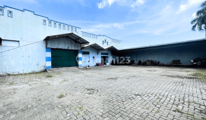 Gudang Ada Kantor Luas Cocok Untuk Logistik di Urip Sumoharjo Pekalongan 1