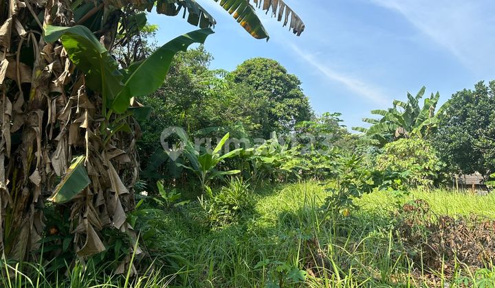 Tanah Luas di Cikarang Barat Bekasi Tanah Luas di Cikarang Barat Bekasi