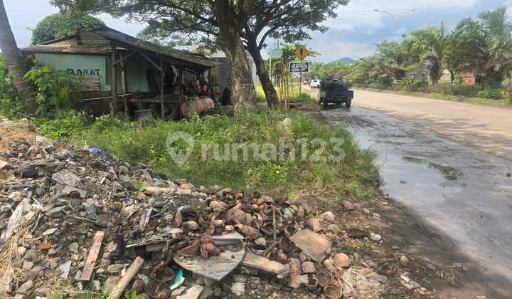 Ready-to-Use Wide Land in Cilegon Banten