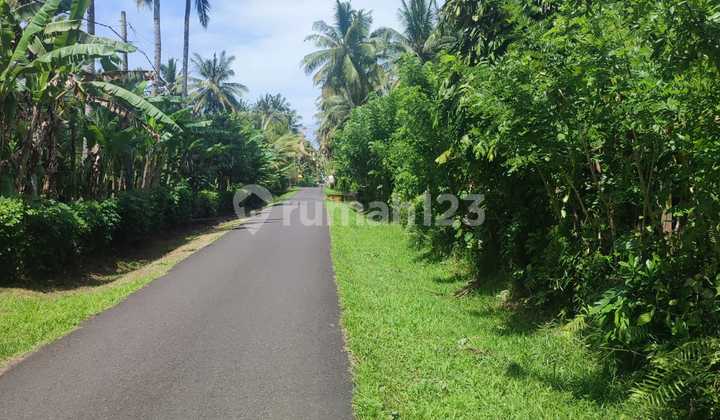 Tanah Pantai Pekutatan Jembrana  2