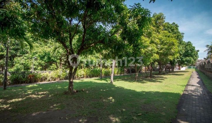 Villa Beach front Lovina  7