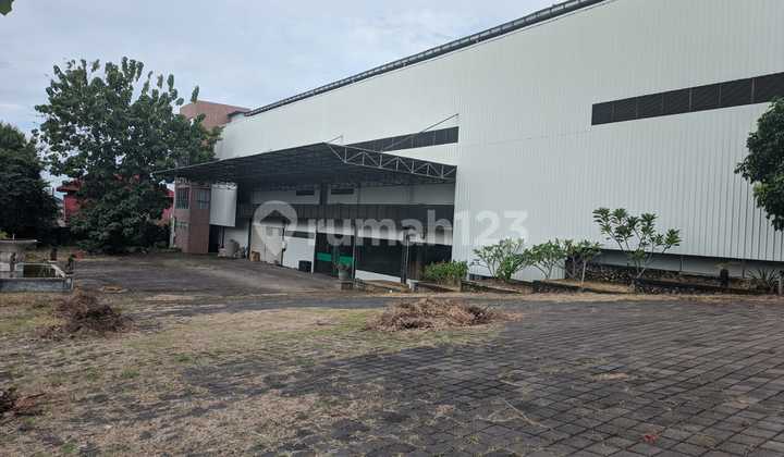 For Rent Showroom Jimbaran