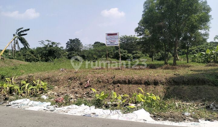 Tanah Darat Padat.di Jual. Siap Bangun.berdampingan Dengan Tanah Gajah Tunggal 1