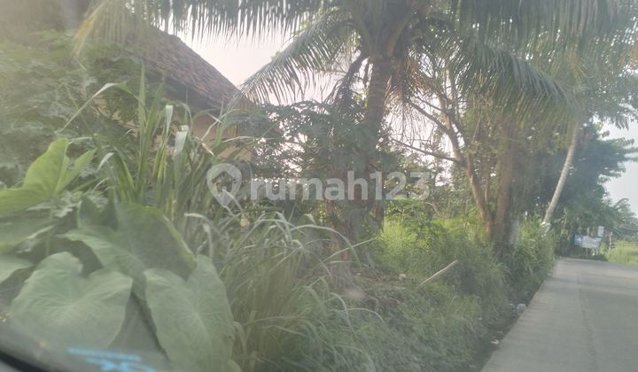 Tanah Komersial di Jual percis Pinggir jalan raya . Tigaraksa.akses 40 feet. Cocok untuk Gudang,Pom bensin,Perkantoran dll