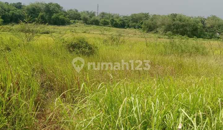 Commercial and Industrial Land on Pantura Serang Main Road for Sale. Suitable for Warehousing and Industry /Ksm/Ustj