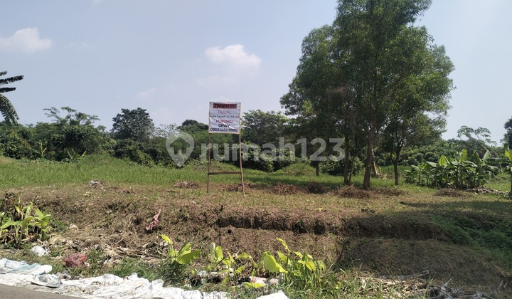 Tanah Darat Padat.di Jual. Siap Bangun.berdampingan Dengan Tanah Gajah Tunggal 2