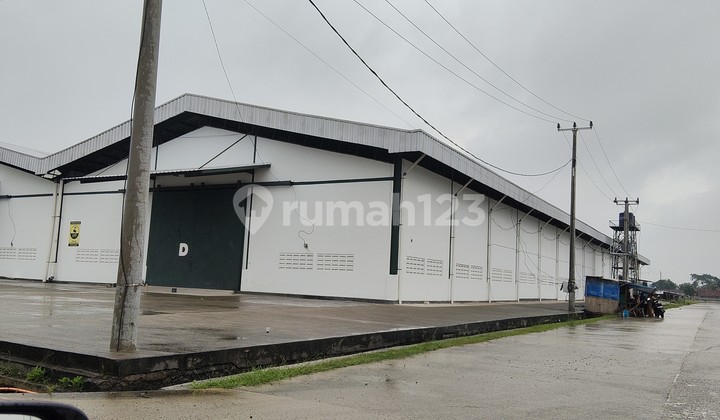 For Rent: Industrial Warehouse in Buditextindo Raya Industrial Complex. Move-in ready. Concrete road access. 40 Feet. Ready 4 Connected Units. Total 4416 M2. Electricity available 190kva.