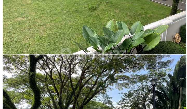 Kavling Residence Taman Golf Lippo Karawaci Kavling Residence Taman Golf Lippo Karawaci