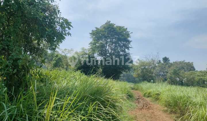 Tanah Kebun Dekat Perumahan Area Rajeg