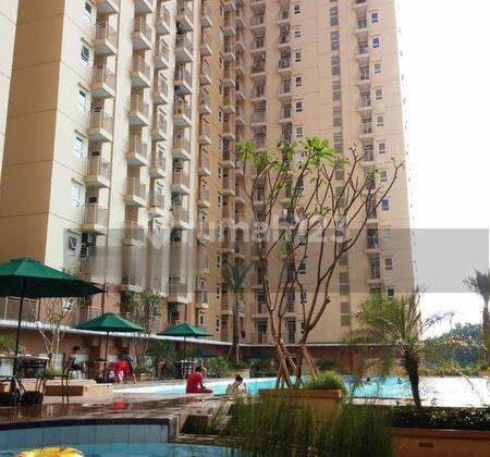 Termurah Apartment Green Palm Furnished 1