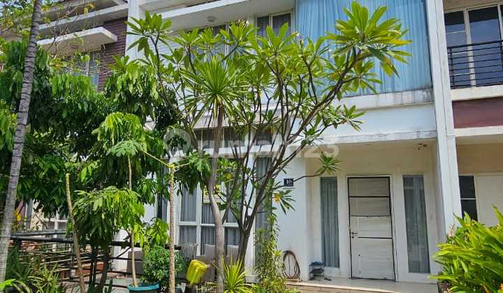 Termurah Rumah Crown Mansion Pik Uk 8X17, Renov Jadi 4Lt