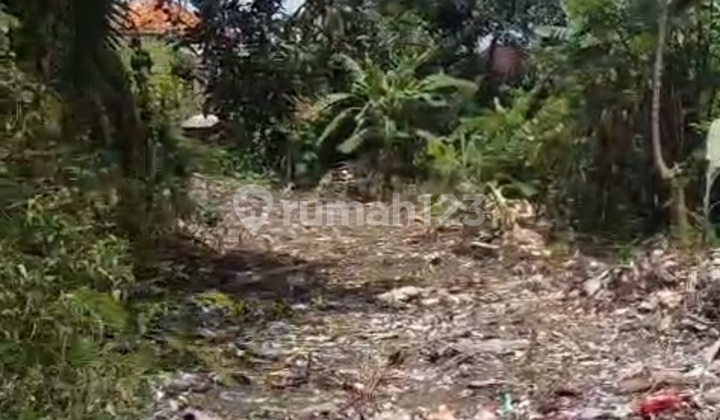 Land for Sale on Sanur Main Road Suitable for Business