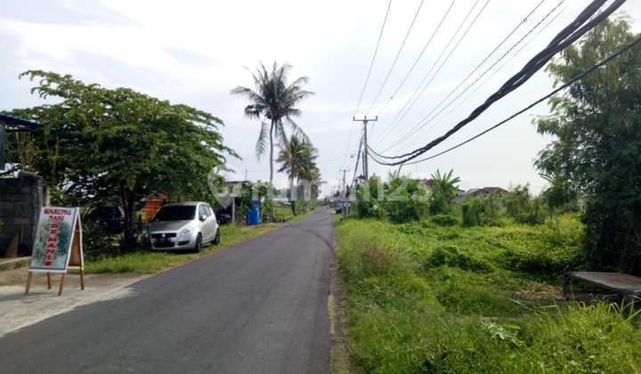 Tanah Di Utama Pantai Kedungu