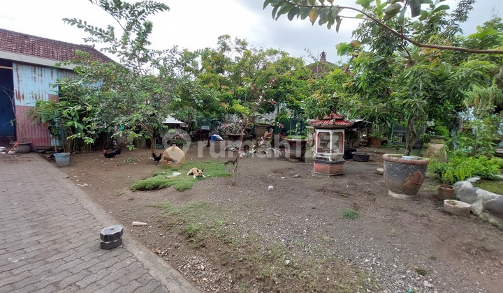 Tanah di sempidi cocok untuk gudang  3