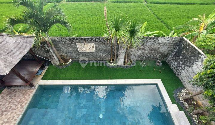 Villa view sawah di seminyak 1