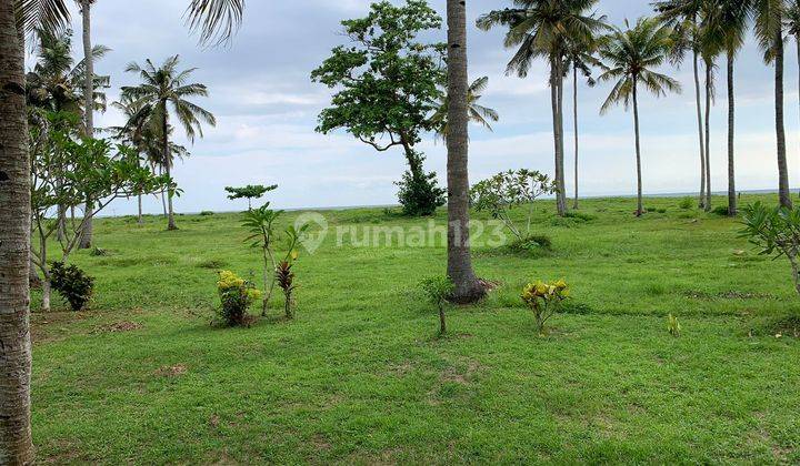 Land near Medewi beach 1