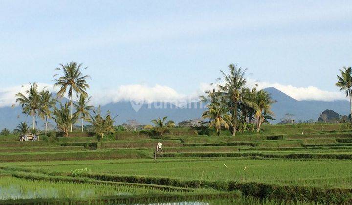 Tanah di tegalalalang gianyar 2