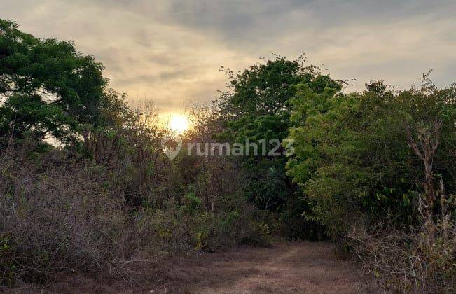 Padang Padang Jimbaran 21 hectares 1