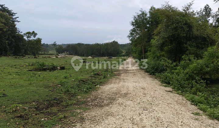 Tanah di Dekat Puri Gading Jimbaran