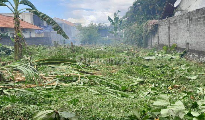 Tanah Umalas Kerobokan Dekat Canggu Dan Seminyak 2