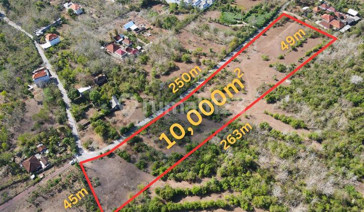 Tanah 1 Hektar Uluwatu