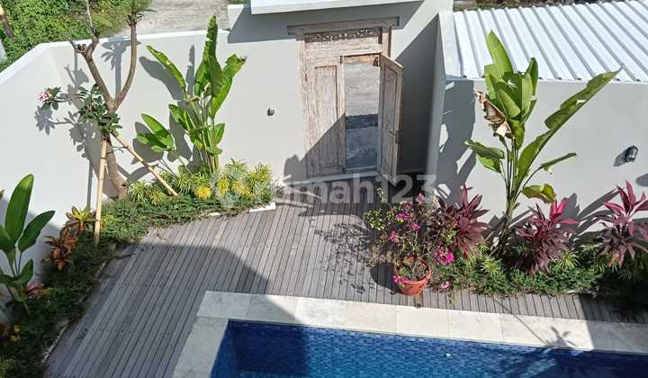 Munggu Villa Near Canggu Munggu Villa Near Canggu