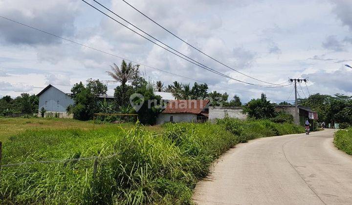 Kavling Luas, Akses Jalan Mudah di Rangkas Bitung 0040 Linsus 2