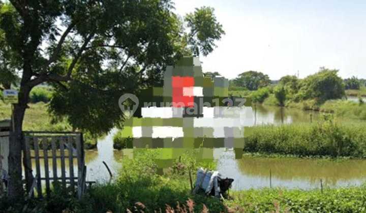 For sale freehold land, suitable for warehouses, workshops, factories, near JIPEE Port, Xinny Glass China, Freeport Smelter, Betoyo manyar Gresik. For sale freehold land, suitable for warehouses, workshops, factories, near JIPEE Port, Xinny Glass China, Freeport Smelter, Betoyo manyar Gresik.