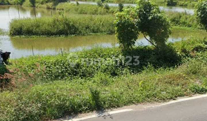 For sale freehold land, suitable for warehouses, workshops, factories, near JIPEE Port, Xinny Glass China, Freeport Smelter, Betoyo manyar Gresik. For sale freehold land, suitable for warehouses, workshops, factories, near JIPEE Port, Xinny Glass China, Freeport Smelter, Betoyo manyar Gresik.