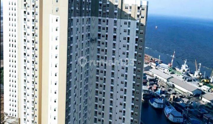 Apartemen Pluit Sea View Type Studio Jual Cepat 1